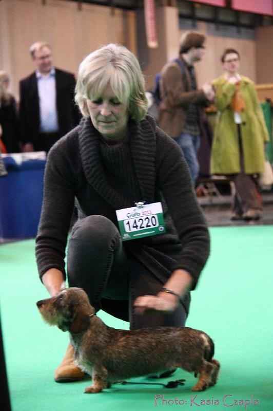 Crufts2011_2 1257.jpg